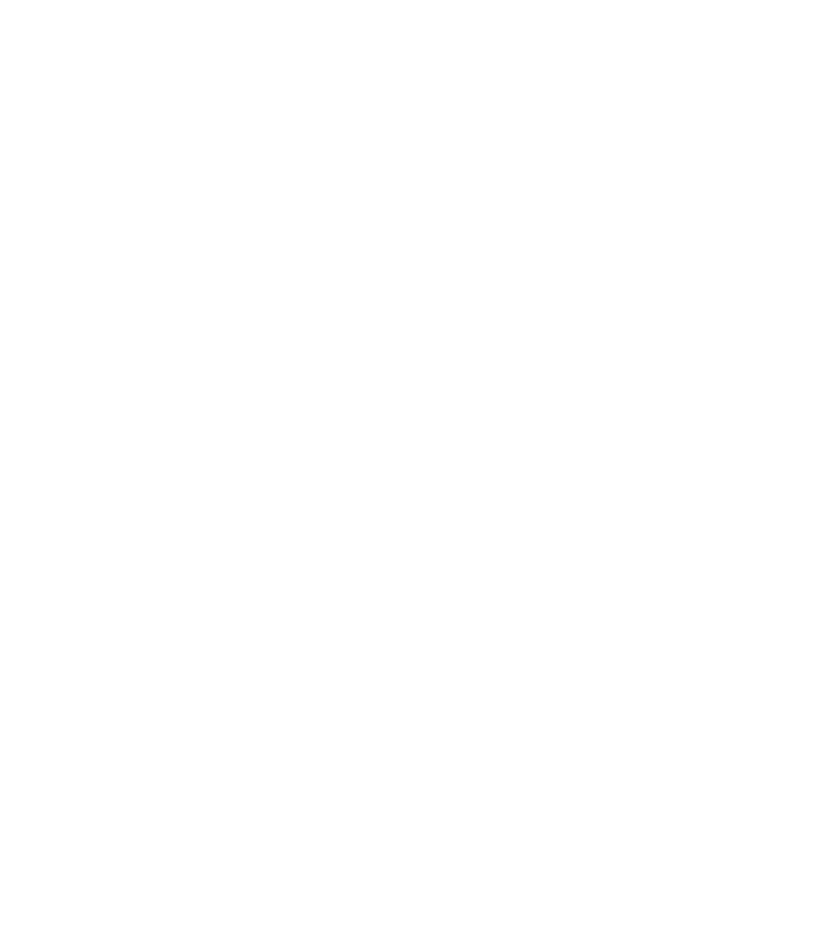 radiophorenia logo - white
